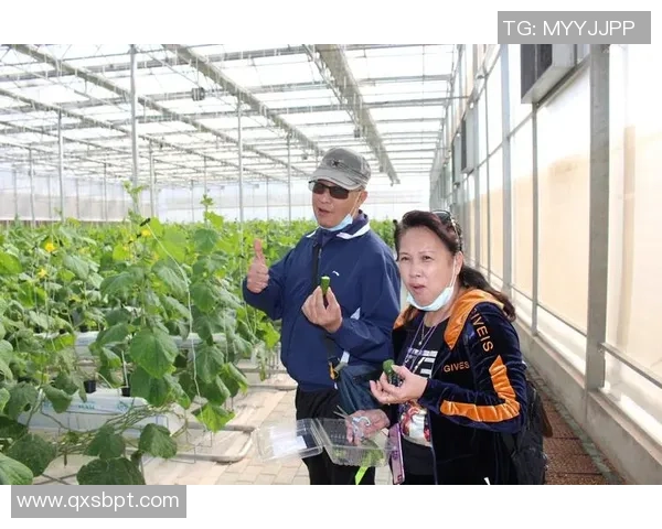 吴钩争锋江南城战起南京与无锡巅峰对决书写新时代荣耀